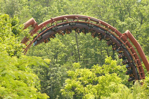 dw_331