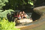dw_231
