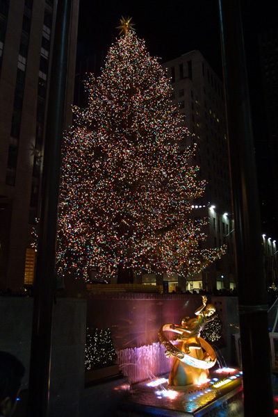 nyc_100
