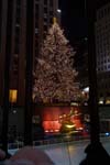 nyc_102