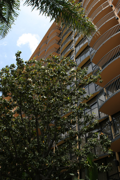 psac_02